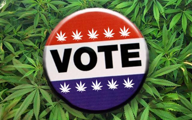 Vote for legalization