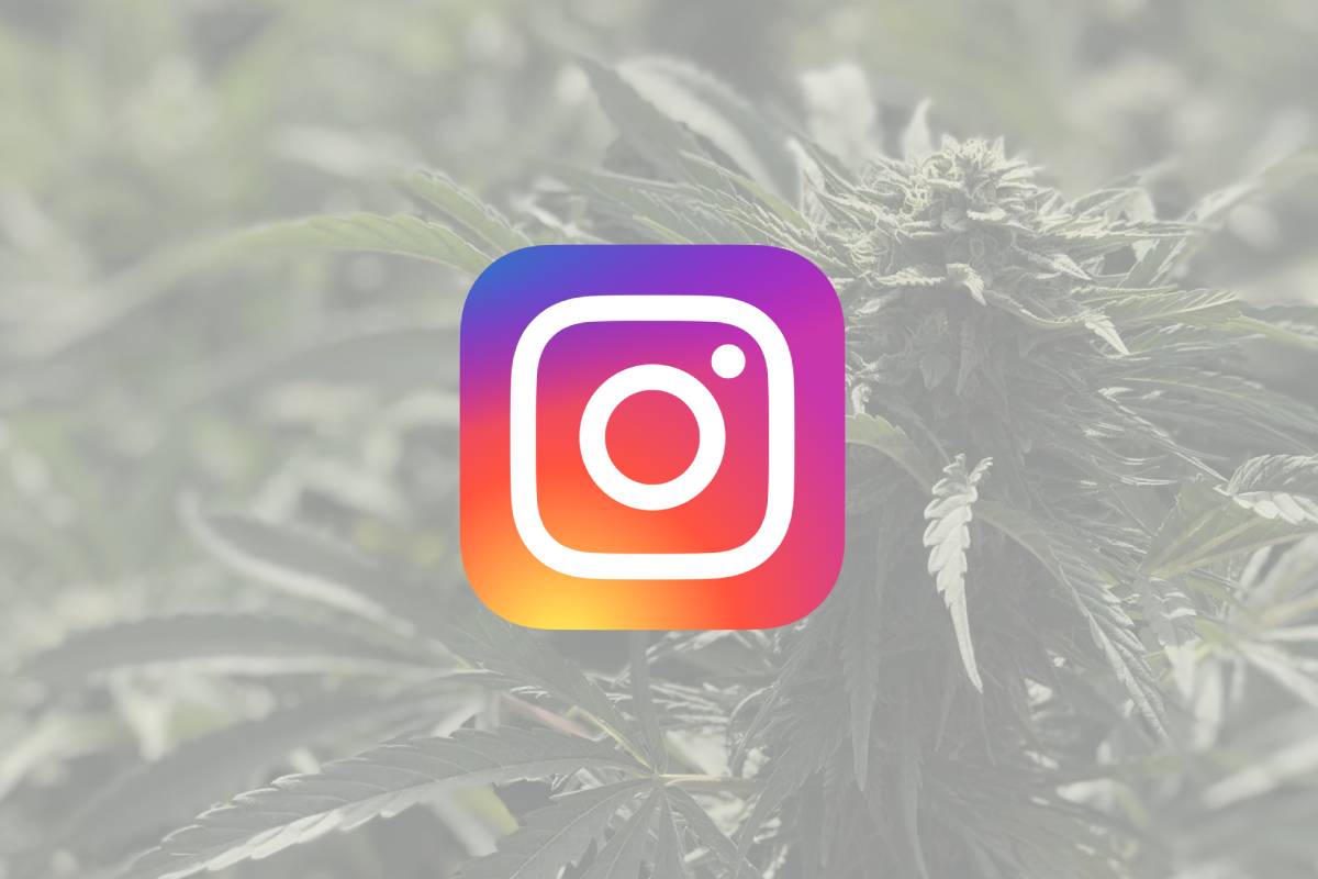 Cannabis Influencers Instagram